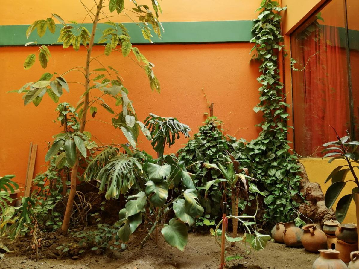 Olas Del Titicaca Backpackers Hostel Copacabana  Bagian luar foto